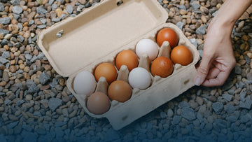 Vince Gironda’s 36 Eggs a Day Diet : Is it truly as Good as Steroids?