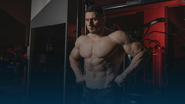 Vince's Six Week Bulk Course: A Review